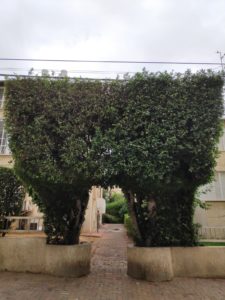 יעל בשור טיפול זוגי ברחובות